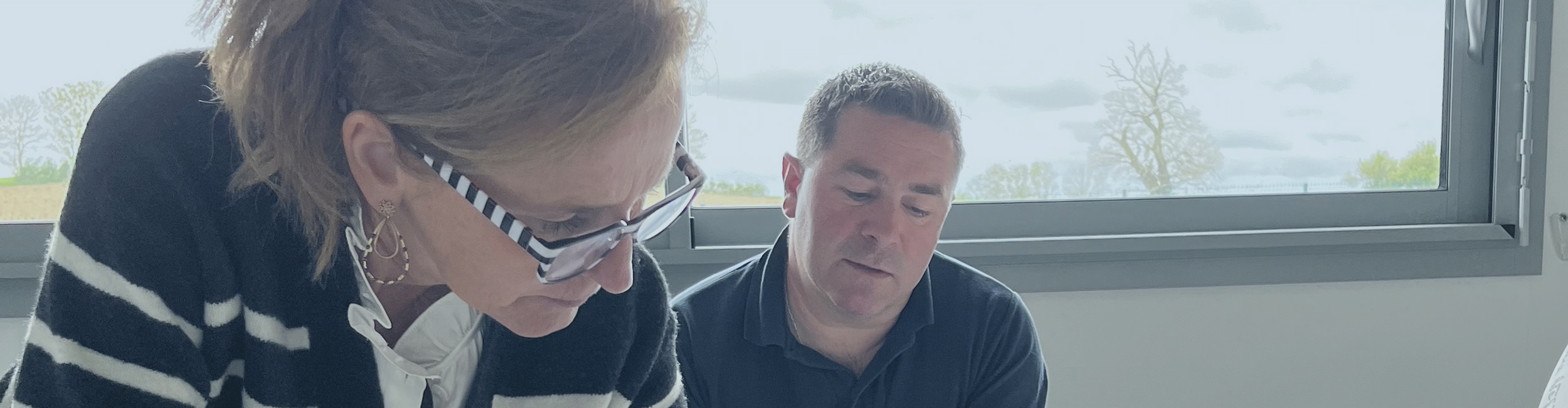 Menschliche Entwicklung