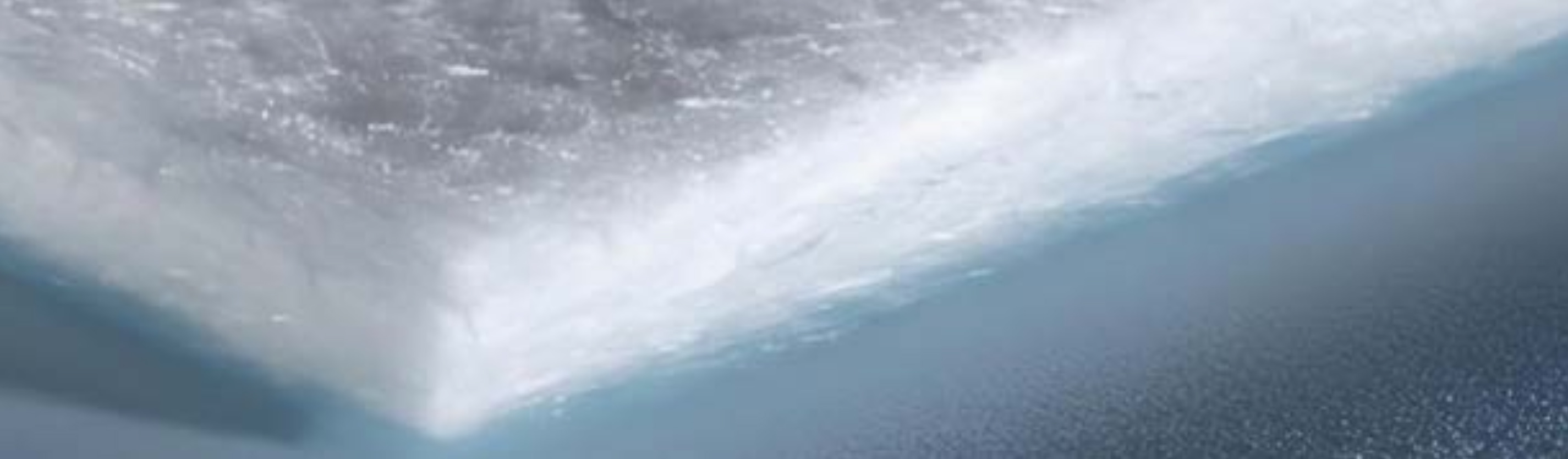 Innovation in den Dienst der Umwelt