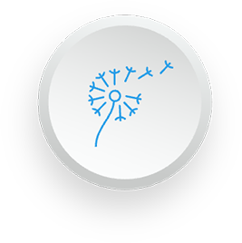 Sustainable products